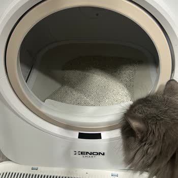 Kum Pedi Esniyor, Şikayetime Yanıt Gelmedi, İade Talep Ediyorum
