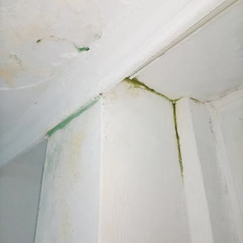 Deniz Manzaralı Oda Yok, Kirli Otelde Zorlandı Ve İade Bekliyor