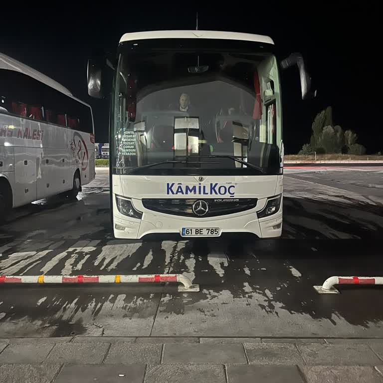 Kamil Koç Otobüsünde Kedinin Havasız Bölmede Bırakılması Ve Sürücünün Saygısız Davranışı