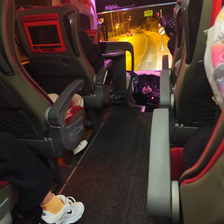 Koltuk Çöküşü Ve Sara Krizi Müdahalesi Yetersizliği
