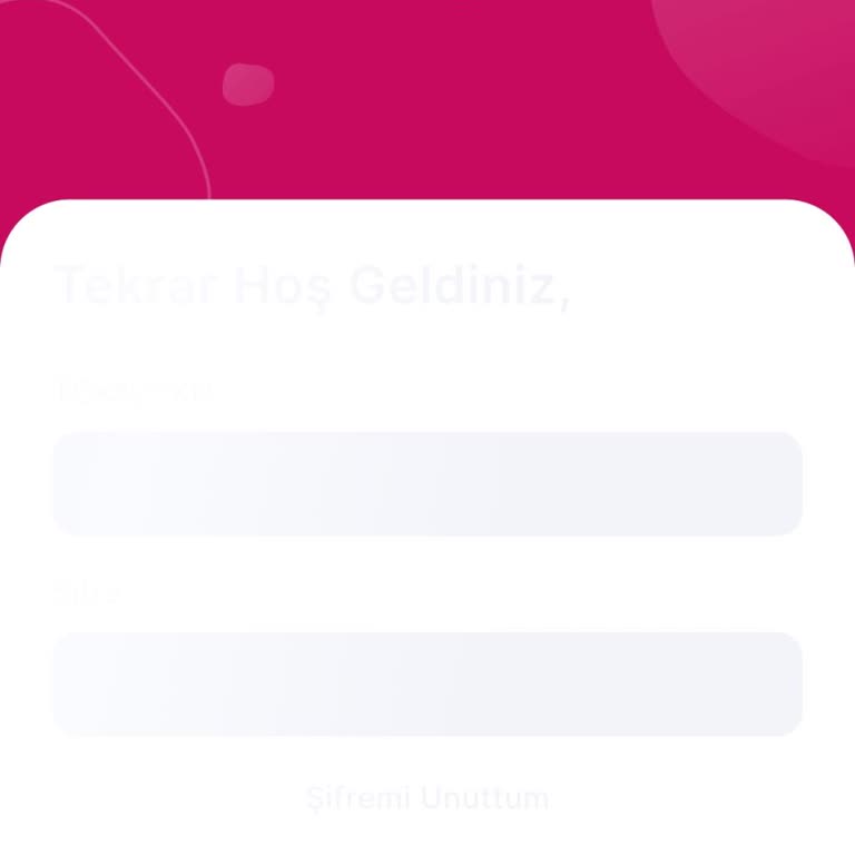 İstanbul Senin Uygulamasında Giriş Yapamama Sorunu