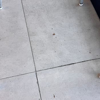 Köfteci Yusuf Şubesinde Hijyen Eksikliği Ve Uzun Kahvaltı Bekleme Süresi