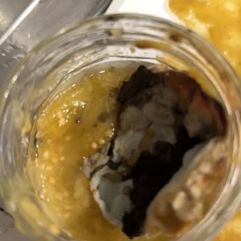 Küflü Patlıcan Konservesi Ve BPA’sız Kapak İddiası Gıda Güvenliğine Saldırı