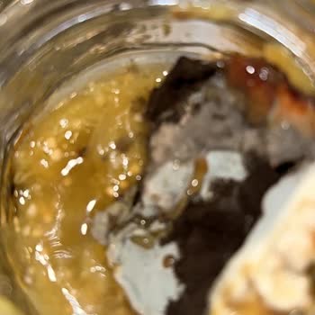 Küflü Patlıcan Konservesi Ve BPA’sız Kapak İddiası Gıda Güvenliğine Saldırı