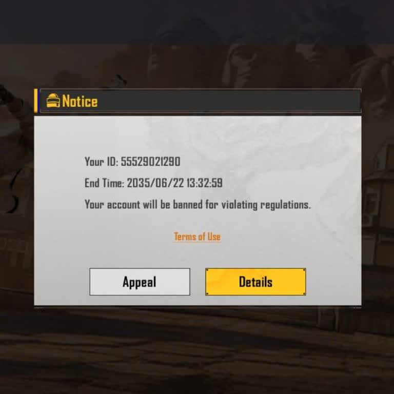 Request For Manual Review And Unban Of My BGMI Account