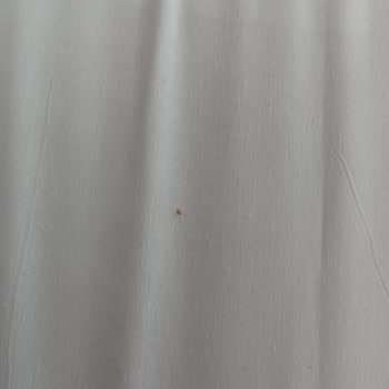 Otelde Tahta Kurusu Sorunu ve Tazminat Talebi