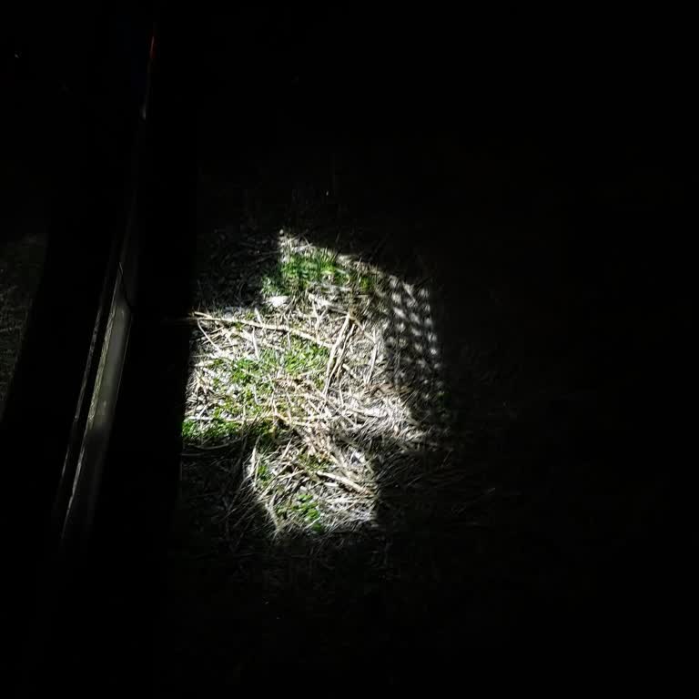 Yan Ayna Altı Işık Arızası Ücretsiz Değiştirilmedi, Servis Tutarsızlığı