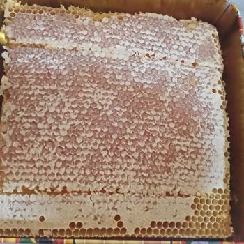 Kargo Şirketi Dikkatsiz Taşıma Sonucu Ürünüm Hasar Gördü