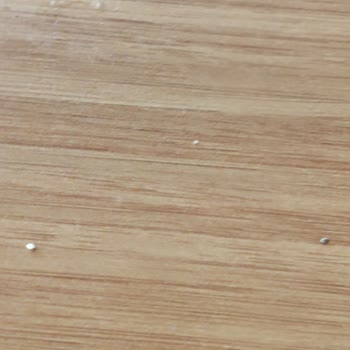 Kirli Ve Küflü Oda Şikayeti Ve Tam Ücret İadesi Talebi