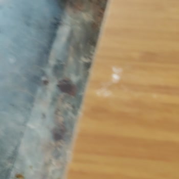 Kirli Ve Küflü Oda Şikayeti Ve Tam Ücret İadesi Talebi