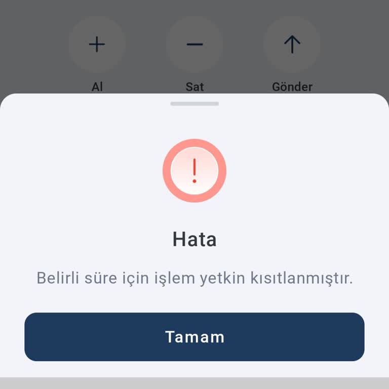 Tom Bank Gram Altın Alımında Yetki Kısıtlaması