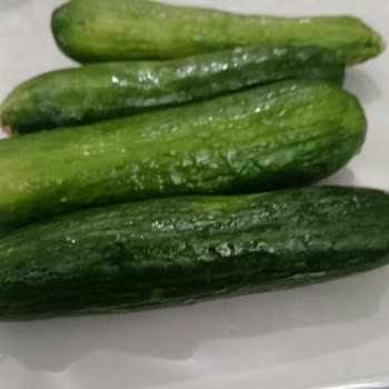 Sebzelik Bölümünde Sürekli Buğulanma Ve Buzlanma Sorunu Çözülmedi