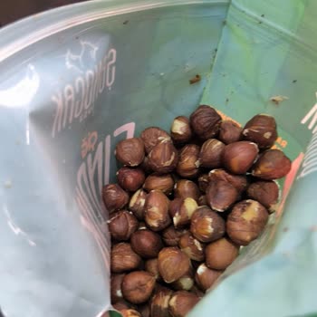 Migros'tan Şenocak Çiğ Fındık Paketi İçinde Kelebek Ve Ağ Tespiti Sağlık Riski Oluşturdu