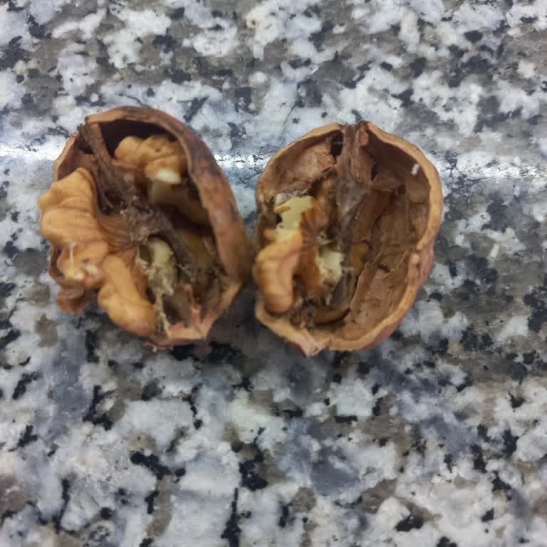Migros Erzincan Şubesinde Küflü Ceviz Ve Ücret İadesi Talebi