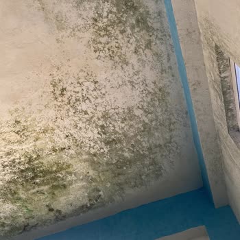 Havuzdaki Küf Ve Kirli Ortak Alanlar Nedeniyle Ücret İadesi İstiyorum