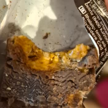 Snickers Chocolate Contains Insect Before Expiration Date