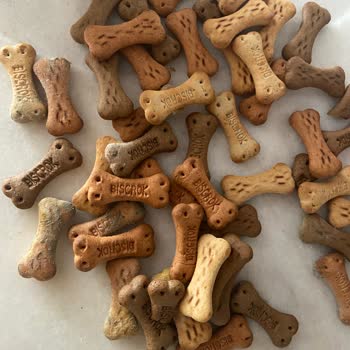 Pedigree Biscrok Dog Treats Found Moldy After Opening
