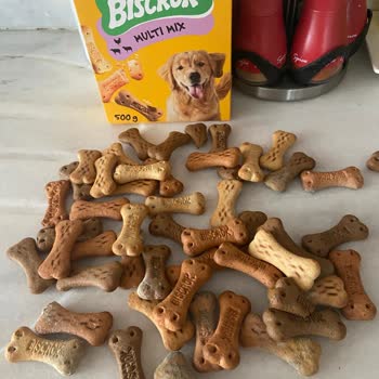 Pedigree Biscrok Dog Treats Found Moldy After Opening