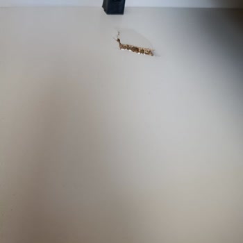 Kırık Kanepe Kasası İçin Hızlı Değişim Talebi