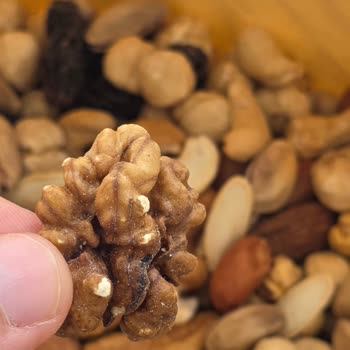 Kurtlu Ve Çürük Kuruyemişler Sağlık Riski Ve Ev Kelebeği Sorunu Yaratıyor