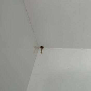 Koçak Home | Sivas   Dolap İşçiliği ve Malzeme Kalitesi Sorunu, Eksik Cam Ve Kulplar