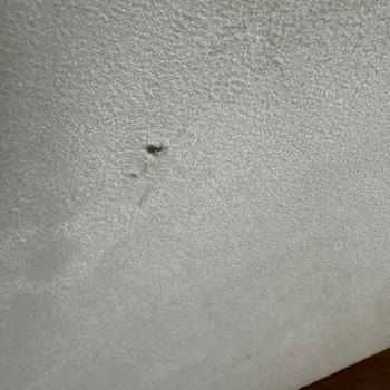 Mondi Mağazası 43 Gün Boyunca Yırtık Baza Parçasını Değiştirmedi