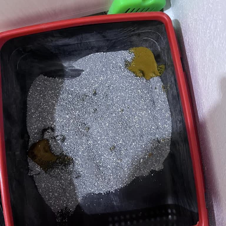 Mavi Reyon'dan Aldığım Kedi Maması Kedimde İshal Yaptı Ve Yardımcı Olunmadı