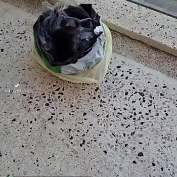 Amazon Siparişim Eksik Geldi!