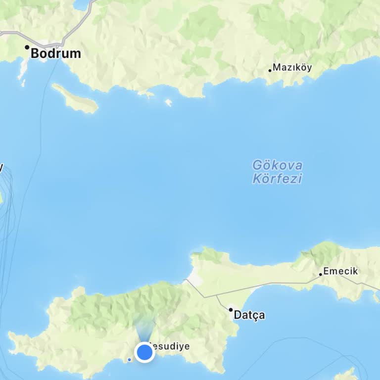Turkcell'in İradem Dışı Yurt Dışı Kullanım Ücreti İptali Ve Geri Ödeme Talebi
