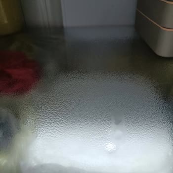 Samsung Buzdolabında Soğutmama Ve Ses Sorunu Çözülmedi