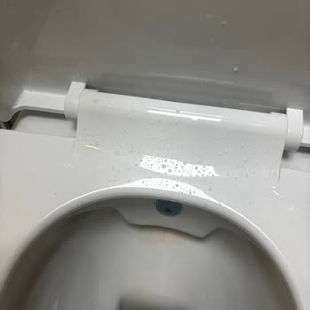 Teknik Servis Personelinin Özel Tuvaleti Kirletmesi Ve Mahremiyete Saygısız Davranışı