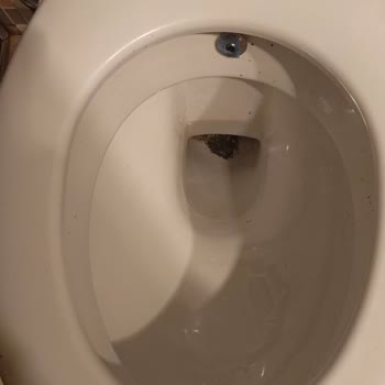 Hijyen Ve Temizlik Sorunları Otelde Kabus Oldu