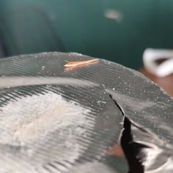 Protein Tozunda Yabancı Madde Tespiti: Sağlık Endişesi