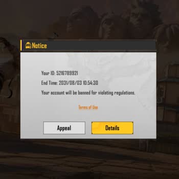 Battlegrounds Mobile India Unban Request