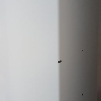 Altus Buzdolabının Aşırı Ses Sorunu Ve Servis Kaynaklı Hasar