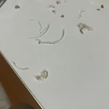 Beşler Kıymasındaki Plastik Parçalar Gıda Güvenliğini Tehdit Ediyor
