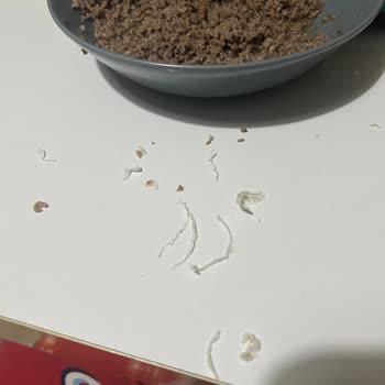 Beşler Kıymasındaki Plastik Parçalar Gıda Güvenliğini Tehdit Ediyor