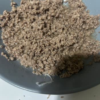 Beşler Kıymasındaki Plastik Parçalar Gıda Güvenliğini Tehdit Ediyor