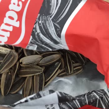Tadım Ay Çekirdeğinde Aşırı Boş Çekirdekler Kalite Sorunu