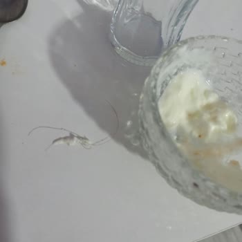 BİM Dost Yoğurtta Saç Çıktı, Hijyen İhlali Ve Çocuk Sağlığı Tehlikede