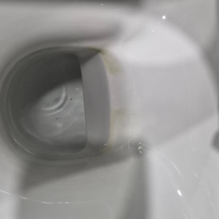 Yeni Vitra Klozet İç Kısmı Sararıyor, Ücretsiz Değişim İsteği