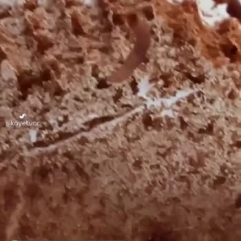 Eti Browni Gold İçinde Kurt Çıktı