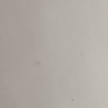Geç Girişte Saygısız Personel Ve Hijyen Sorunları