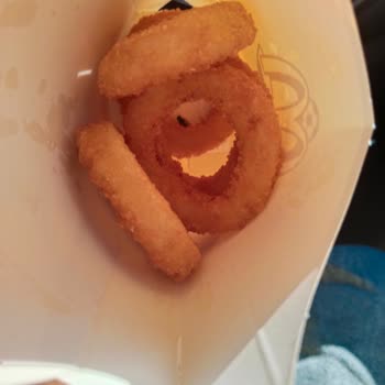 McDonald's Paket Serviste Ölmüş Kara Sinek Ve Hijyen Endişesi