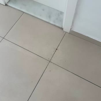 Bendis Beach Hotel’de Hijyen Eksikliği Ve İzinsiz Oda Girişi
