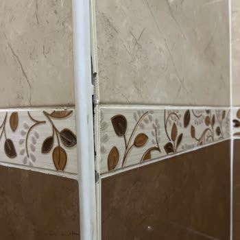 Anadolu Sigorta Hasar Reddi Ve Hijyen Riski