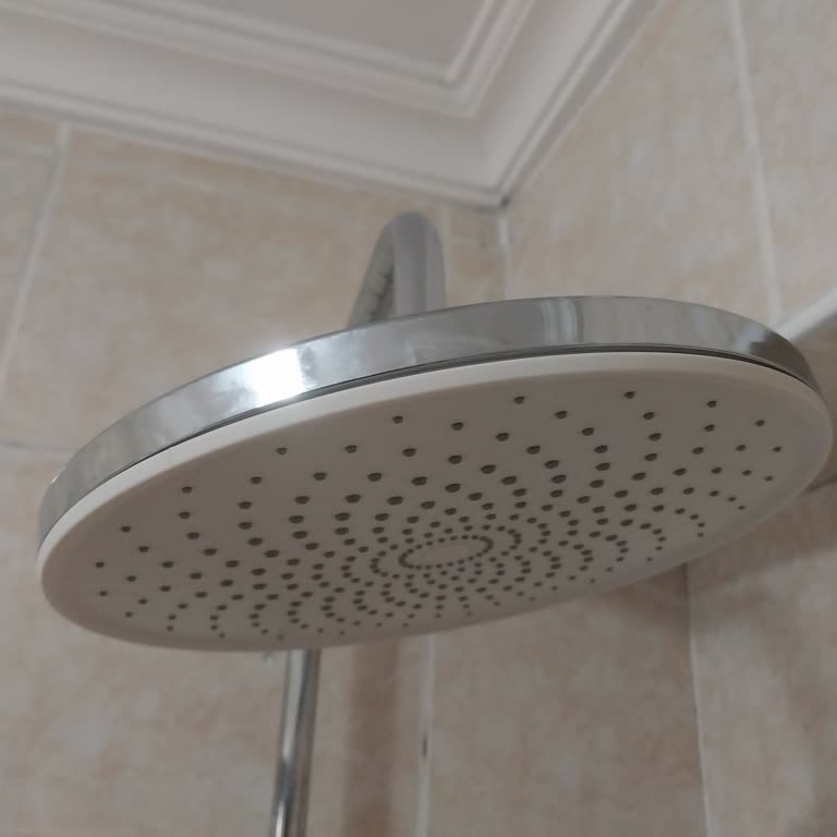 Yetkili Servisin Değişim Reddi Ve Kireçlenme Sebebi
