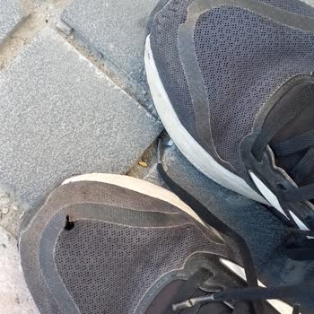 Adidas Ayakkabım Kısa Sürede Deformasyon Ve Yırtılma, Değişim Talebi