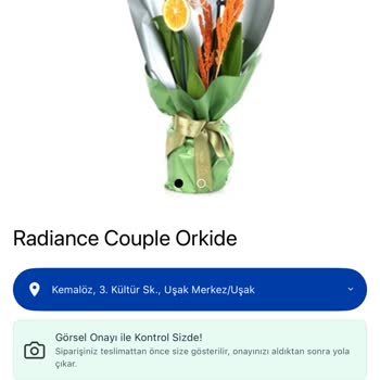 İstenilen Görsel Onayı Gelmedi Ve Gönderilen Orkide Görselle Uyuşmuyor
