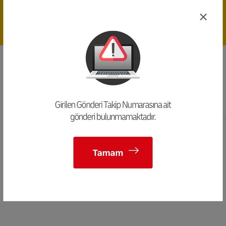 Kargo Takip Numarası Çalışmıyor Ve Sipariş Gecikiyor